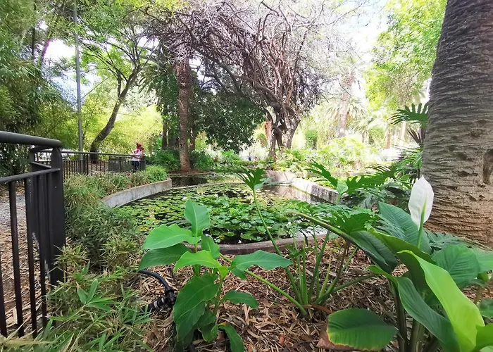 Home2book Lovely In Cruz Διαμέρισμα Σάντα Κρουζ Τενερίφης