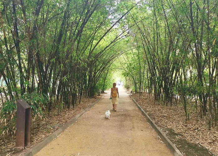 Home2book Lovely In Cruz Διαμέρισμα