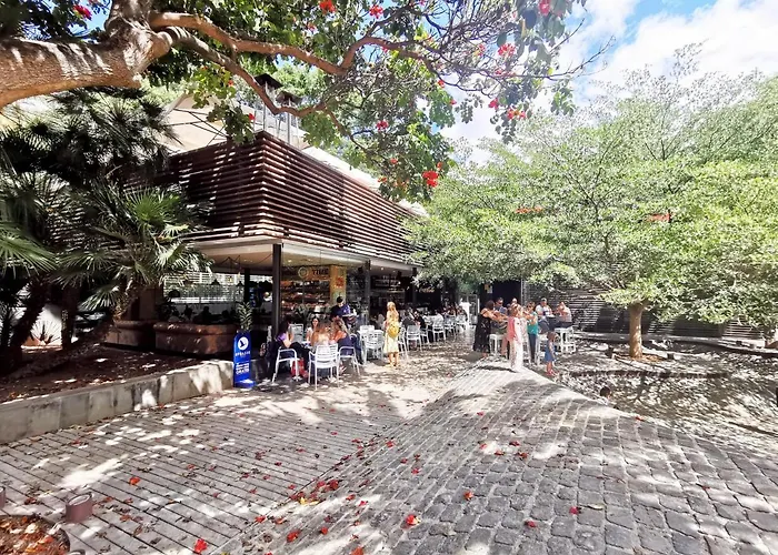 Home2book Lovely In Cruz Διαμέρισμα Σάντα Κρουζ Τενερίφης